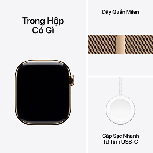 Apple Watch Series 10 Viền Titan Dây Milanese Loop Cellular 46mm