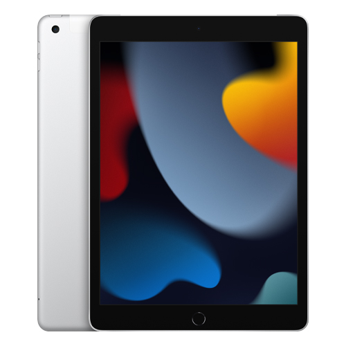 iPad (Gen 9) LTE 256GB