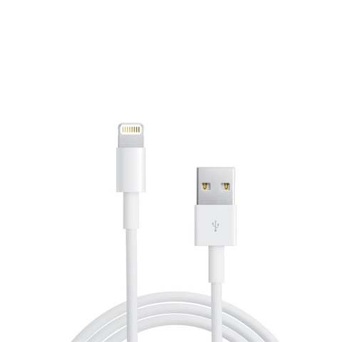 Phụ kiện LIGHTNING TO USB CABLE-ITS