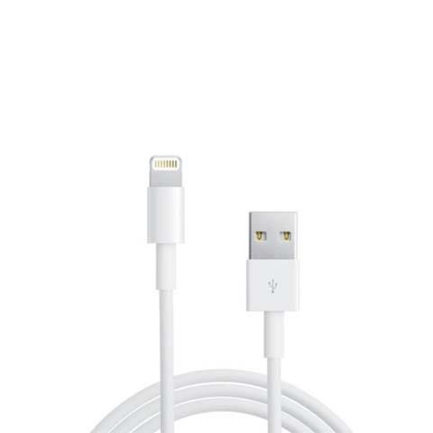 Phụ kiện LIGHTNING TO USB CABLE-ITS 